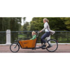 Biporteur Babboe City-5