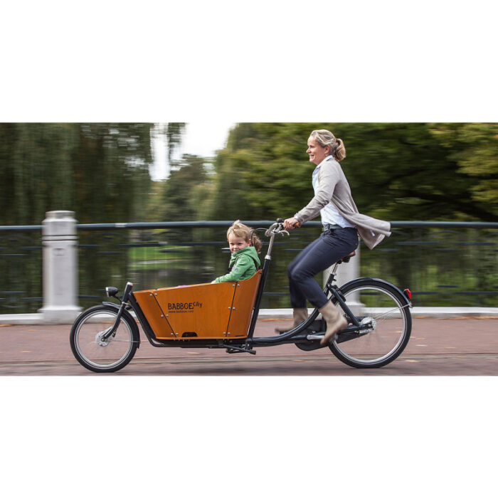 Biporteur Babboe City-5