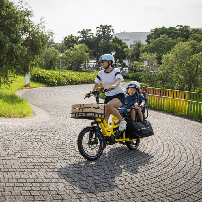 velo-cargo-electrique-tern-gsd-s10-lr (25)