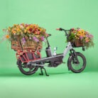 Vélo cargo électrique Cannondale Cargowagen Neo 2-8