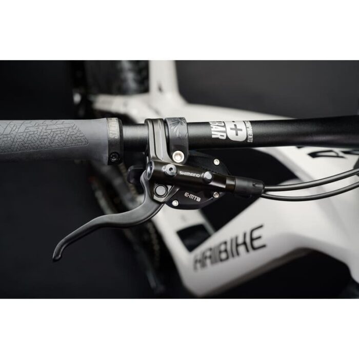 VTTAE-Haibike-ALLMTN-CF-9-2022-2.jpg VTTAE-Haibike-ALLMTN-CF-9-2022-2.jpg