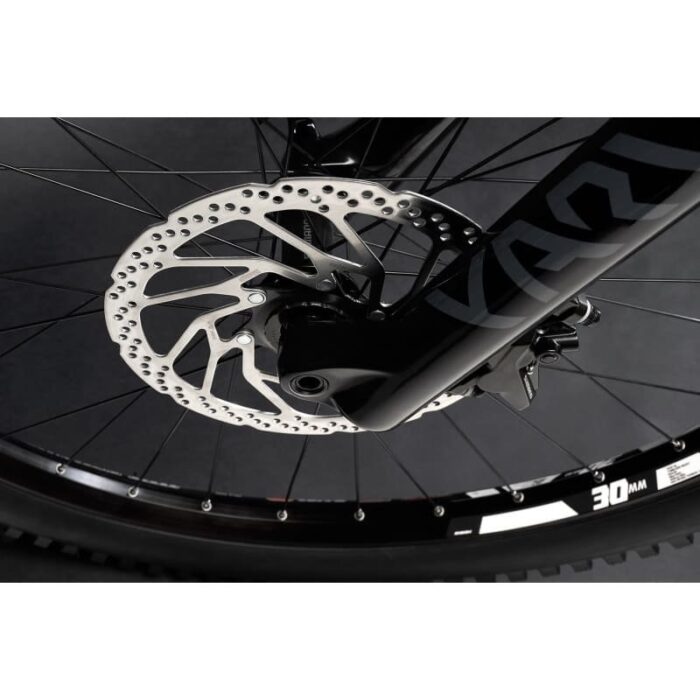 VTTAE-Haibike-ALLMTN-CF-9-2022-3.jpg VTTAE-Haibike-ALLMTN-CF-9-2022-3.jpg