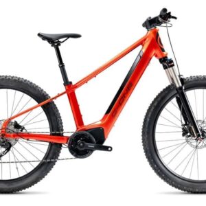 Vélo Électrique Gitane G-One REDWOOD 1